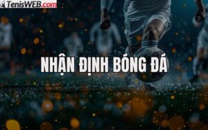 nhan-dinh-ty-le-keo-nha-cai-bong-da-palmeiras-vs-vasco-da-gama